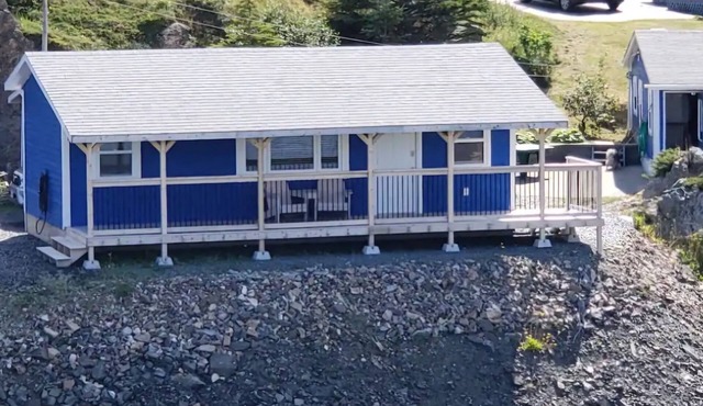 Little Wild Cove Suite dog friendly!