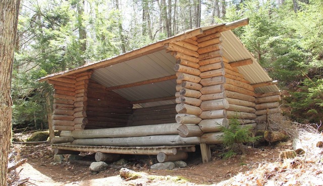 Log cabin style lean-to, perfect for nature lovers!