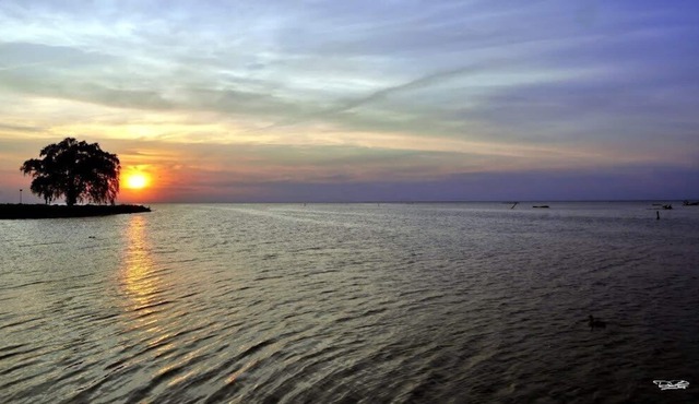 Lose Yourself in a Sunset Reading A Book out on the Lake Family Bonfire Quality