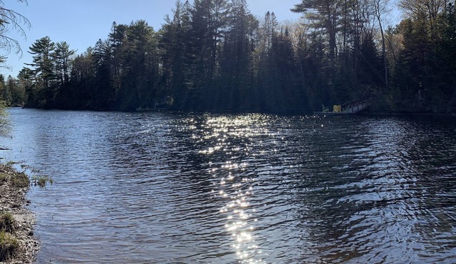 Lovely WATERFRONT cottage on Muskoka River