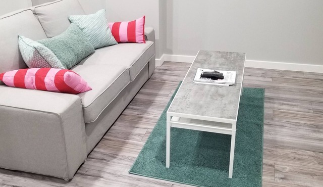 Luxurious 2 bedroom basement suit.