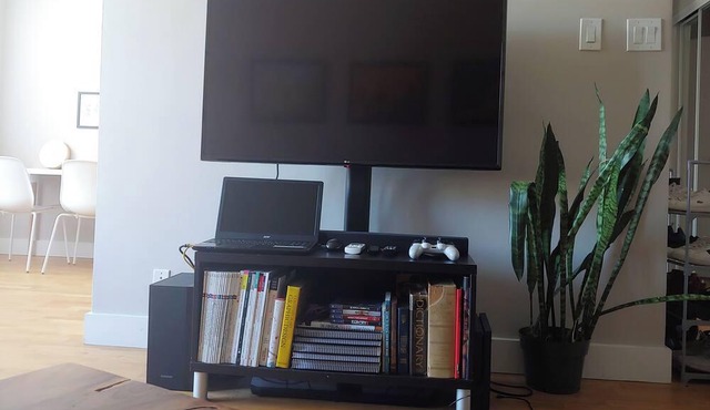 Luxury Apartment close to downtown