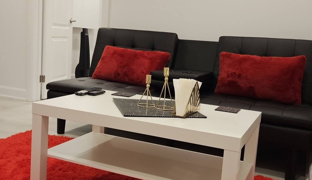 Modern comfy brand new basement apartment in a convenient place, pet friendly.