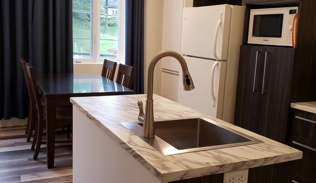Mon refuge Chic-urbain, 1 bedroom downtown Chicoutimi