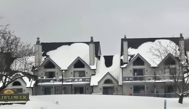 Mountain Views Studio in Ellicottville, NY