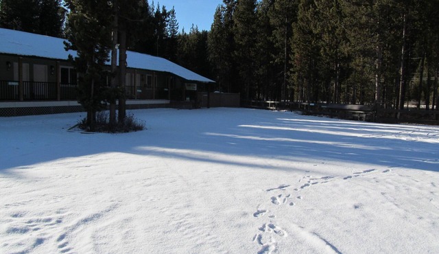 multiple suites avail. $189-219 per suite per night. contact host