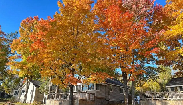 Muskoka Cottage Minutes From Bala