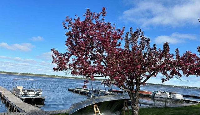 Myriad Fins Cottage and Marina