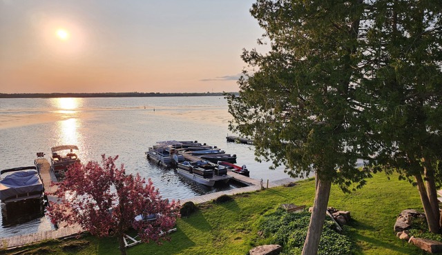 Myriad Fins Cottage and Marina
