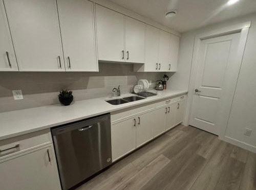 New 1-bedroom basement apartment