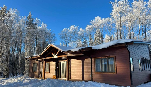 New gorgeous 3 bedroom cabin! Walk to Clear Lake!