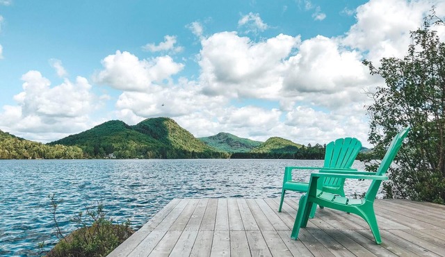 NEW- Scandinavian lodge with lake view