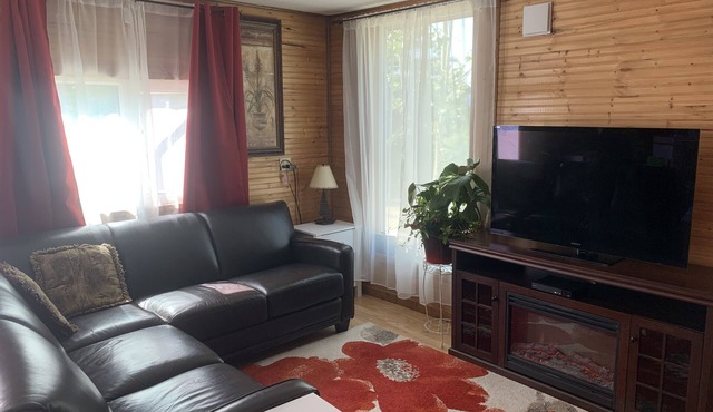 Northern Flare cabin with mountain view 5 min from Nordic Eclipse