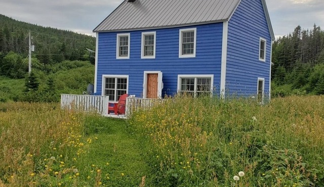 Ocean front - Annie’s Retreat - near L’Anse Aux Meadows - Blue Cottage-