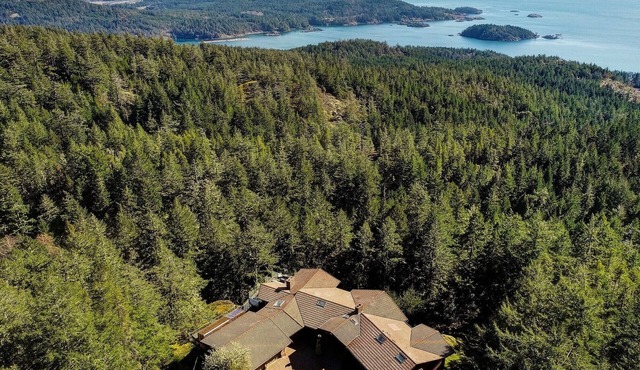 Ocean-view estate surrounded by trees, perched atop Mount Matheson. Sleeps 12!