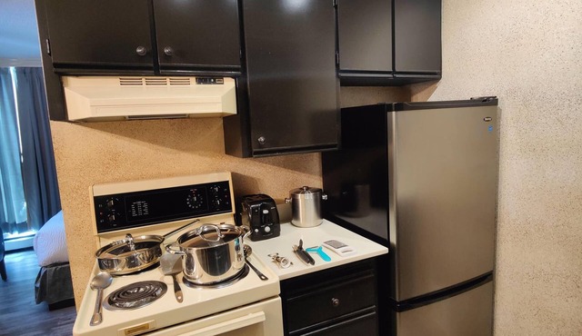One Bedroom Apartment with Robson View