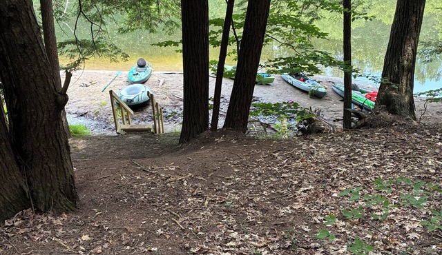 Peaceful 3-bedroom cabin in charming Camden for a relaxing stay