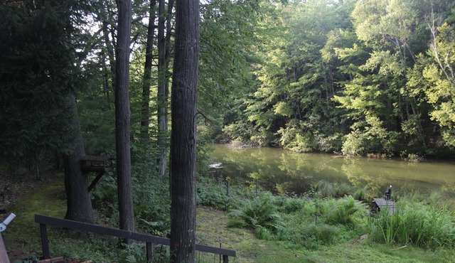 Peaceful Hideaway on Silver Lake Channel, use of kayaks included