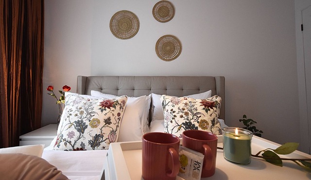 Perfectly located and charming 1 bedroom apt in Montreal (23)
