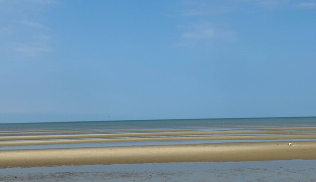 Pet friendly Rustic Cape Cottage. Two bed/sleeps 4. One min to Kingsbury Beach in Eastham