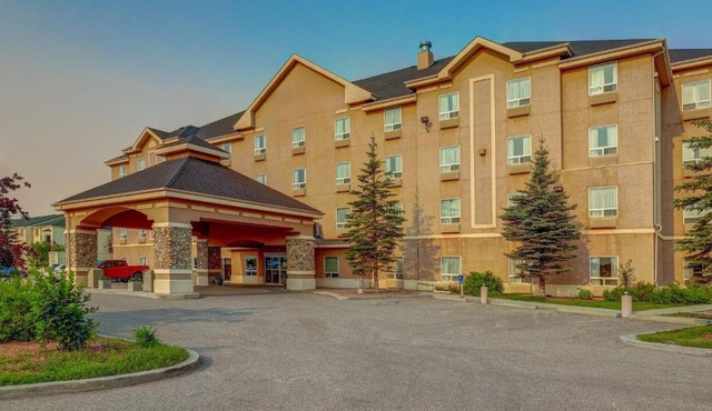Prairie Crest Red Deer by IHG