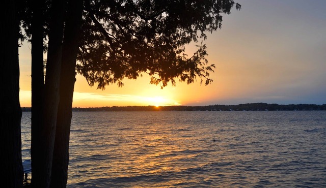 Private Waterfront Cottage in the Kawarthas