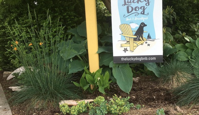 Quaint, Charming and Quiet. Ocean views from front yard , Dog Friendly.
