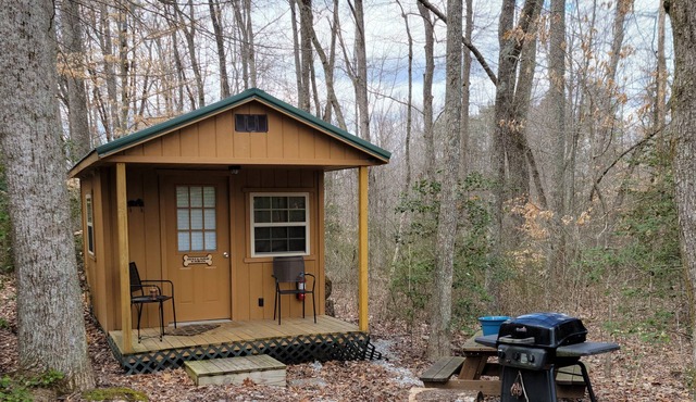Quiet Get-a-Way Cabin at The Retriever Retreat