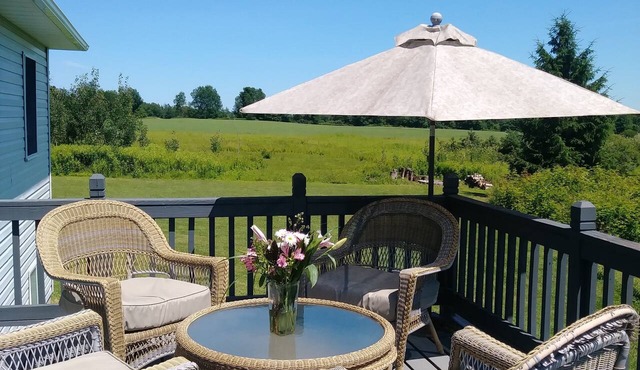 Relaxing Retreat great location in the Finger Lakes 2-bedroom house