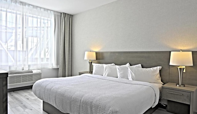Repotel Levis