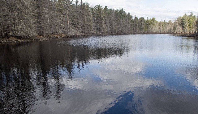 Retreat cottage on your own private 12-acre pond.