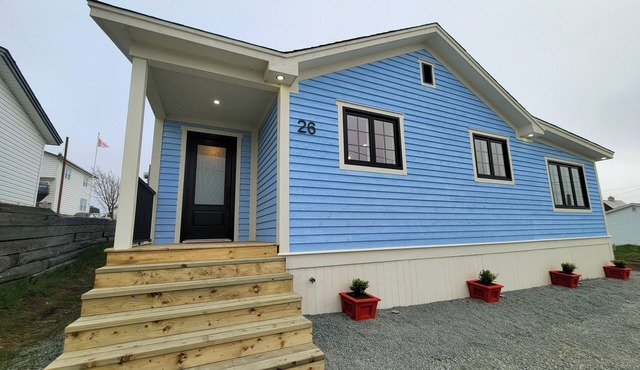 Rural Town Oasis in Bonavista