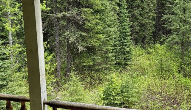 Rustic Beaverfoot Lodge Executive Cabin