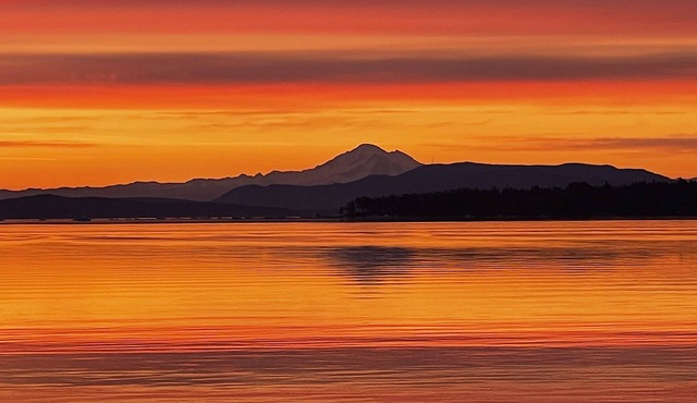 Salish Sea Beach House B&B Spectacular Oceanfront on the Salish Sea!