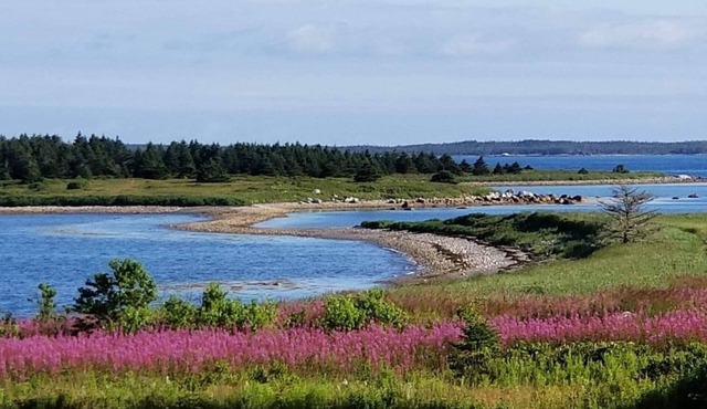 Seaside Cottage in Beautiful Charlo’s Cove