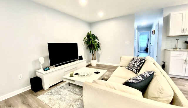 Smart and Luxurious condo in the Heart of Providence