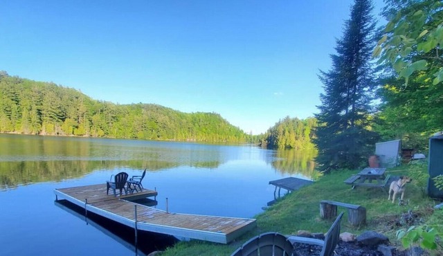 Spacious Cottage In Town-Sauna/Waterfront