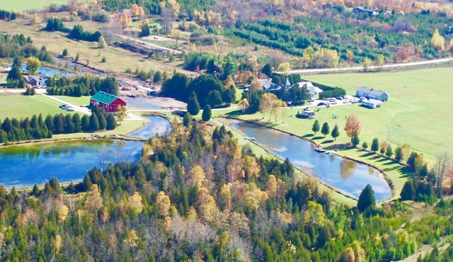 Stunning Silver Springs Retreat - 2hrs from Toronto