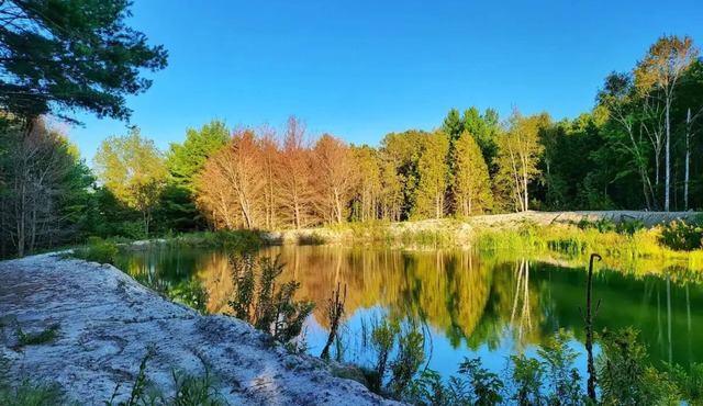 Summer Farmhouse-Hunting, Stargazing, BBQ-Sleeps 8