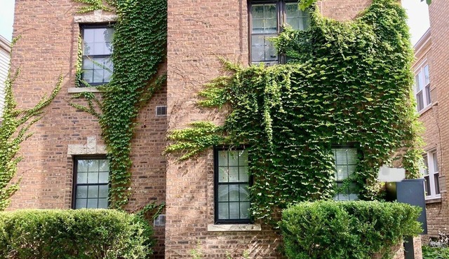 Sunny Evanston Studio: Stylish Decor, Hardwood Floors, Fenced Yard & Parking in Evanston