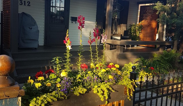 Sunnyside Urban Cottage Oasis 2