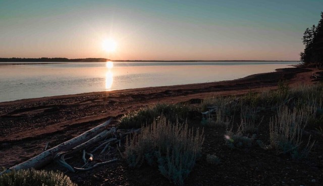 Sunset Off-grid Oyster Creek Cabin