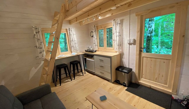 The Albion - A Cabin Nestled in Nature
