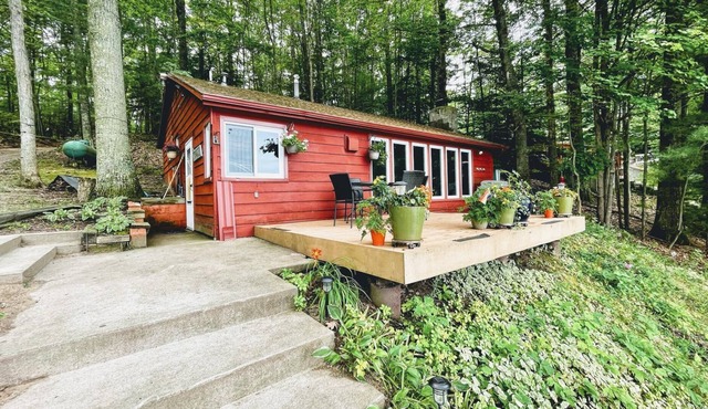 The Bird's Nest Cottage on High Lake TC MI Sleeps 8