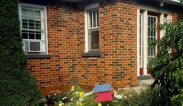 The Nottawa Gem. 15 Min to Blue Mtn, 30 Min to Barrie. 2 Bedroom, 1 Bathroom.