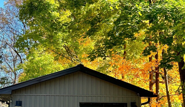 The Refuge Guesthouse