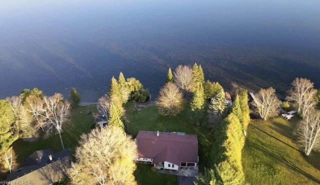 The Willow Villa