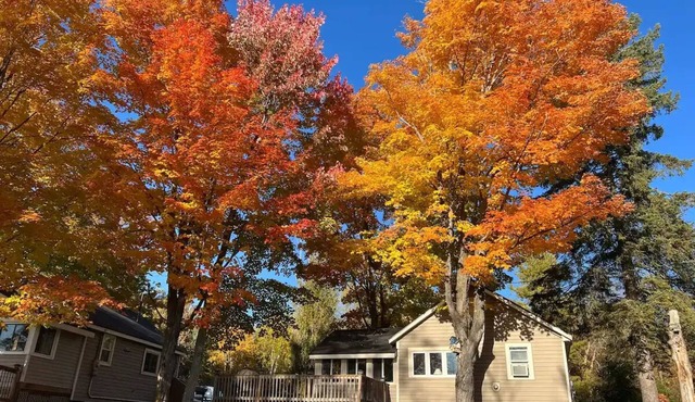 Traditional Cottage in Muskoka Lakes Bala