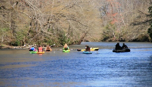 Two Rivers Cabins - The Dell in Brevard