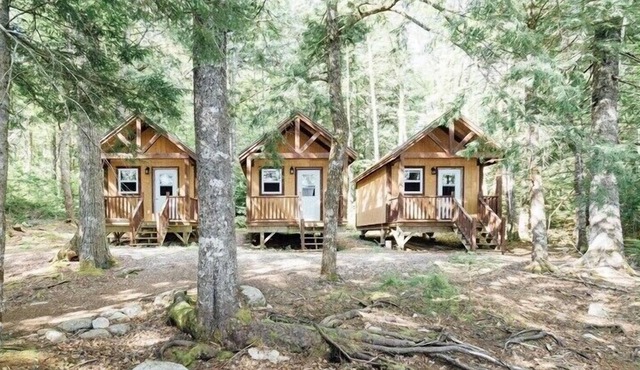 Unique glamping experience - Bunkies on the Lake
